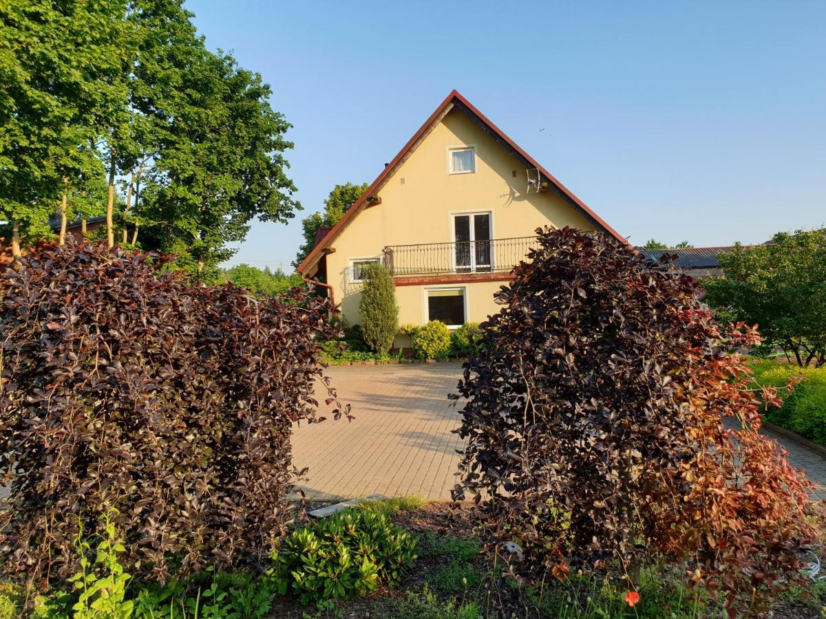 Gospodarstwo Agroturystyczne Damroka Szymbark  Esterno foto